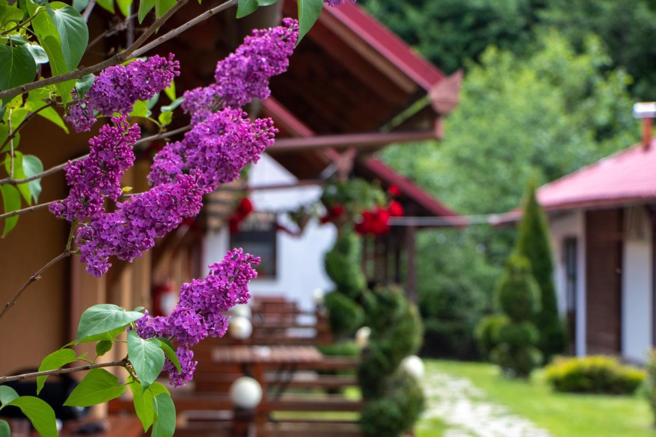 Patakmenti Panzio Spa Corund  Ngoại thất bức ảnh